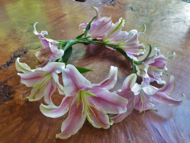 Funny Hat Friday: Lily Fresh flower crown