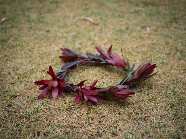 DIY leucodendron fresh flowercrown photoshoot